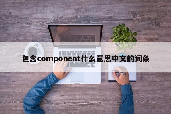 包含component什么意思中文的词条